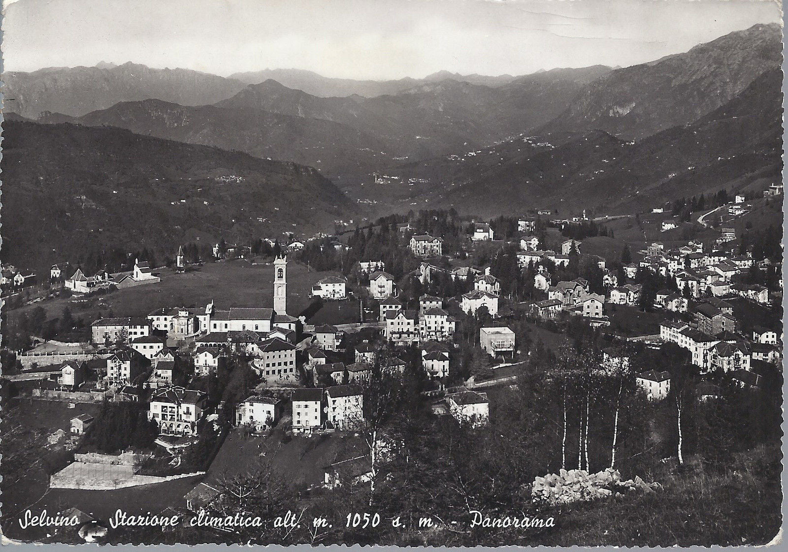 SELVINO - STAZIONE CLIMATICA - PANORAMA - V 1953