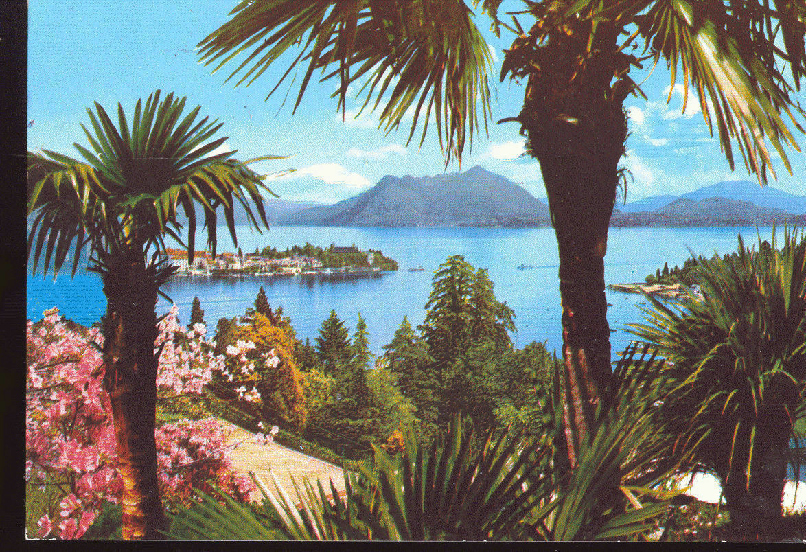 STRESA - PANORAMA CON ISOLA BELLA - V1978