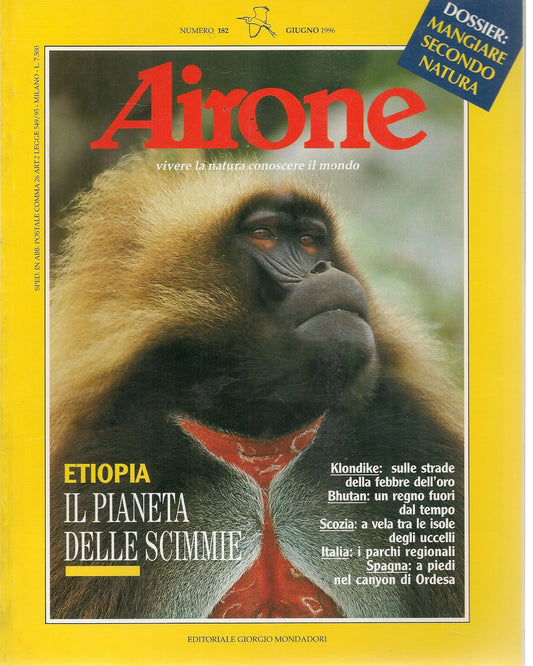 AIRONE N. 182 - GIUGNO 1996 - ETIOPIA IL PIANETA DELLE SCIMME