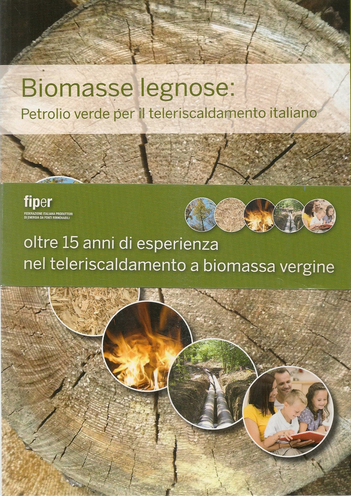 BIOMASSE LEGNOSE -