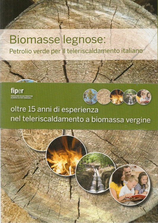 BIOMASSE LEGNOSE -