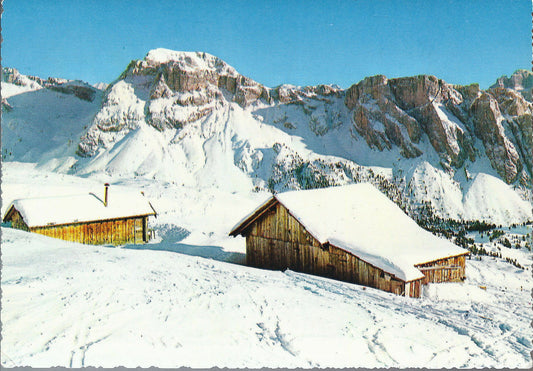 SECEDA - DOLOMITI - ALPE DI MASTLE' - COL DE LA PIERES 