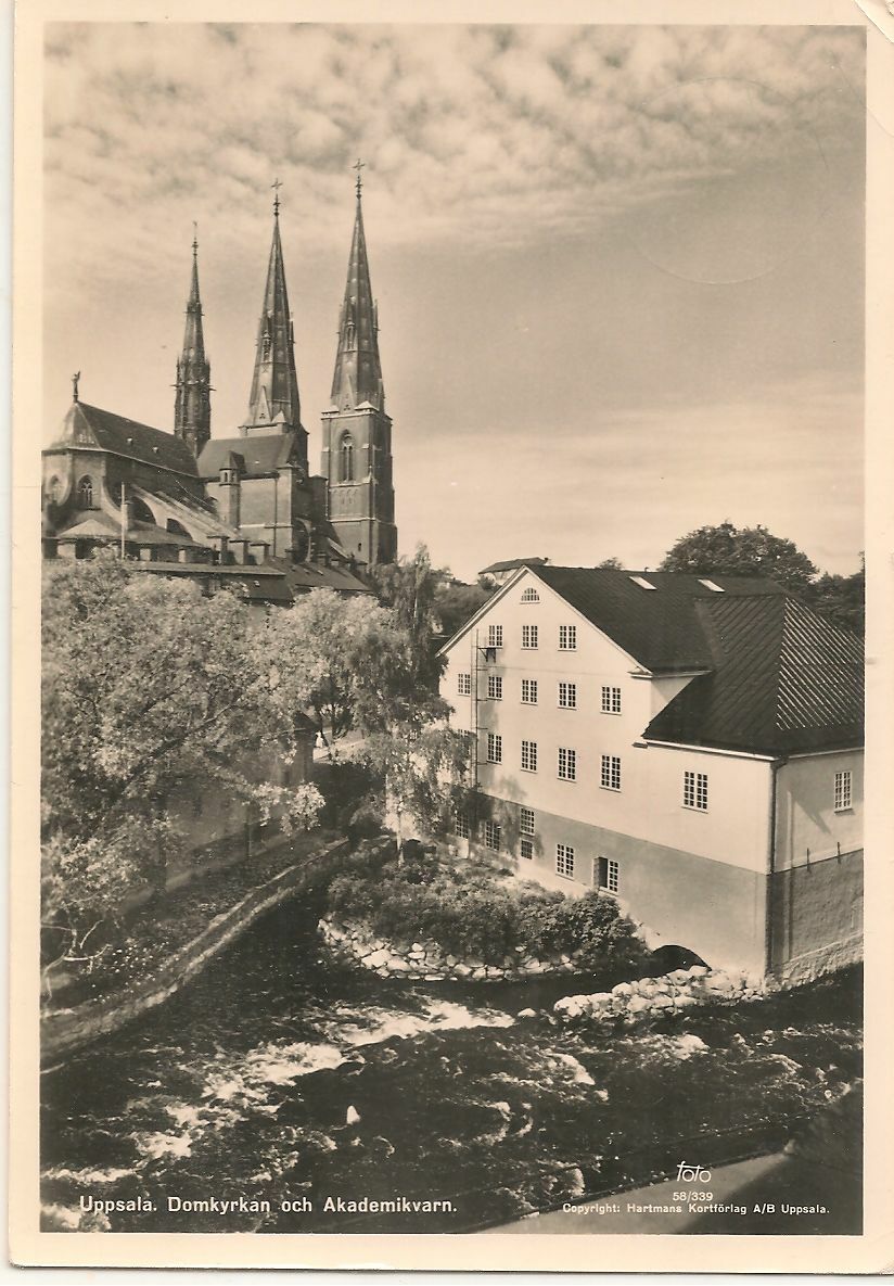 UPPSALA - SVEZIA - DOMKYRKAN OCH AKADEMIKVARN - VSD
