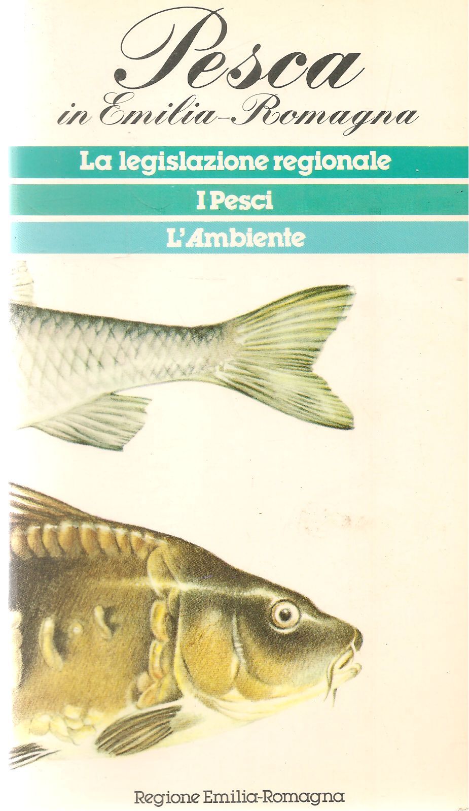 PESCA IN EMILIA ROMAGNA  - REGIONE EMILIA ROMAGNA 1981