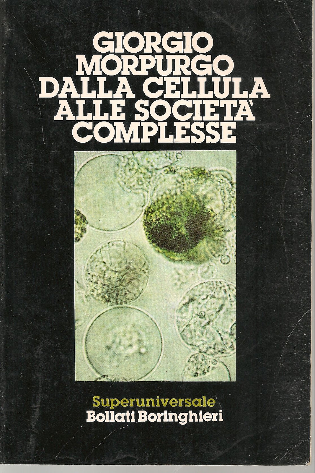 DALLA CELLULLA ALLE SOCIETA' COMPLESSE- GIORGIO MORPURGO