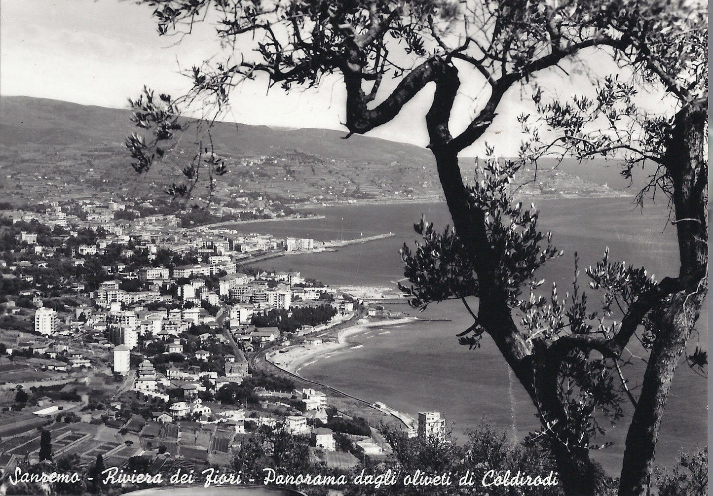 SANREMO - RIVIERA DEI FIORI - PANORAMA DAGLI OLIVETI DI COLD
