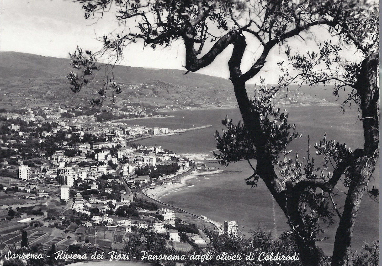 SANREMO - RIVIERA DEI FIORI - PANORAMA DAGLI OLIVETI DI COLD