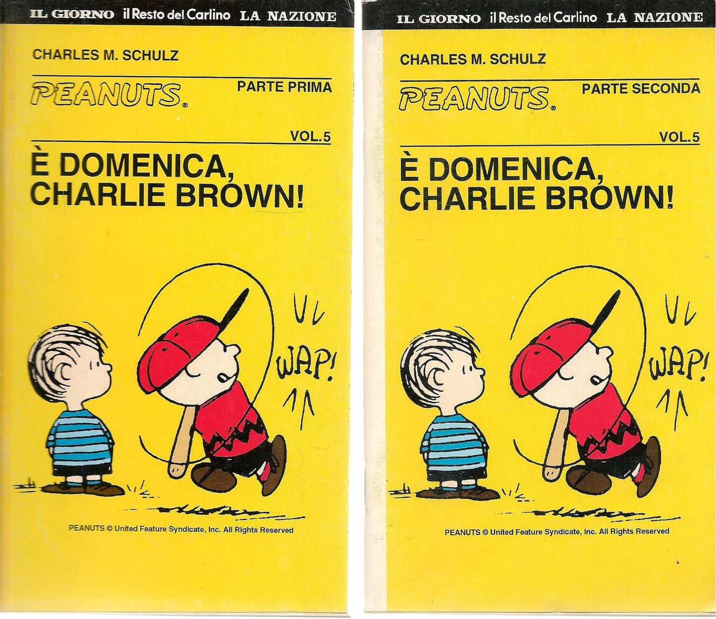 E' DOMENICA CHARLIE BROWN - CHARLES M. SCHULZ