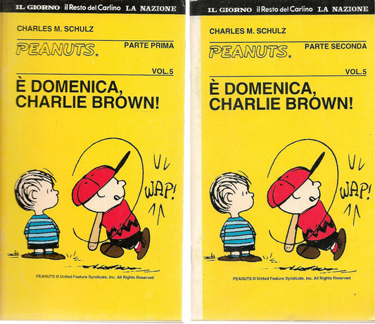 E' DOMENICA CHARLIE BROWN - CHARLES M. SCHULZ