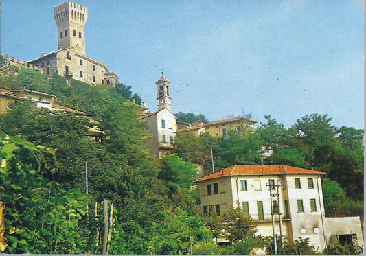 CIGOGNOLA - PANORAMA - NV - FG - Ed. Novarini 1317