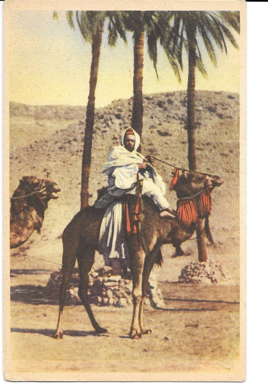 AFRICA - CAMMELLIERE - NV