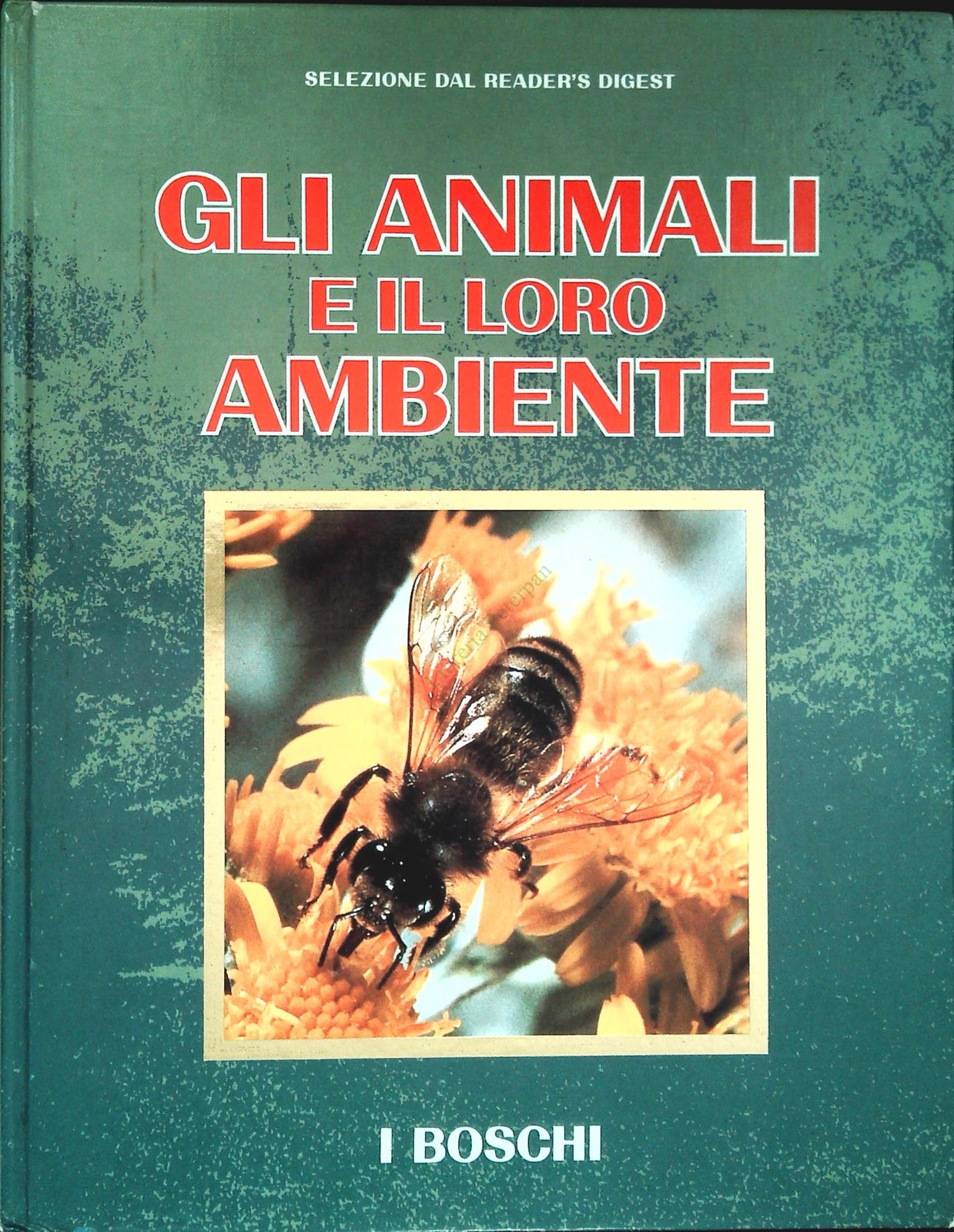 GLI ANIMALI E IL LORO AMBIENTE - I BOSCHI
