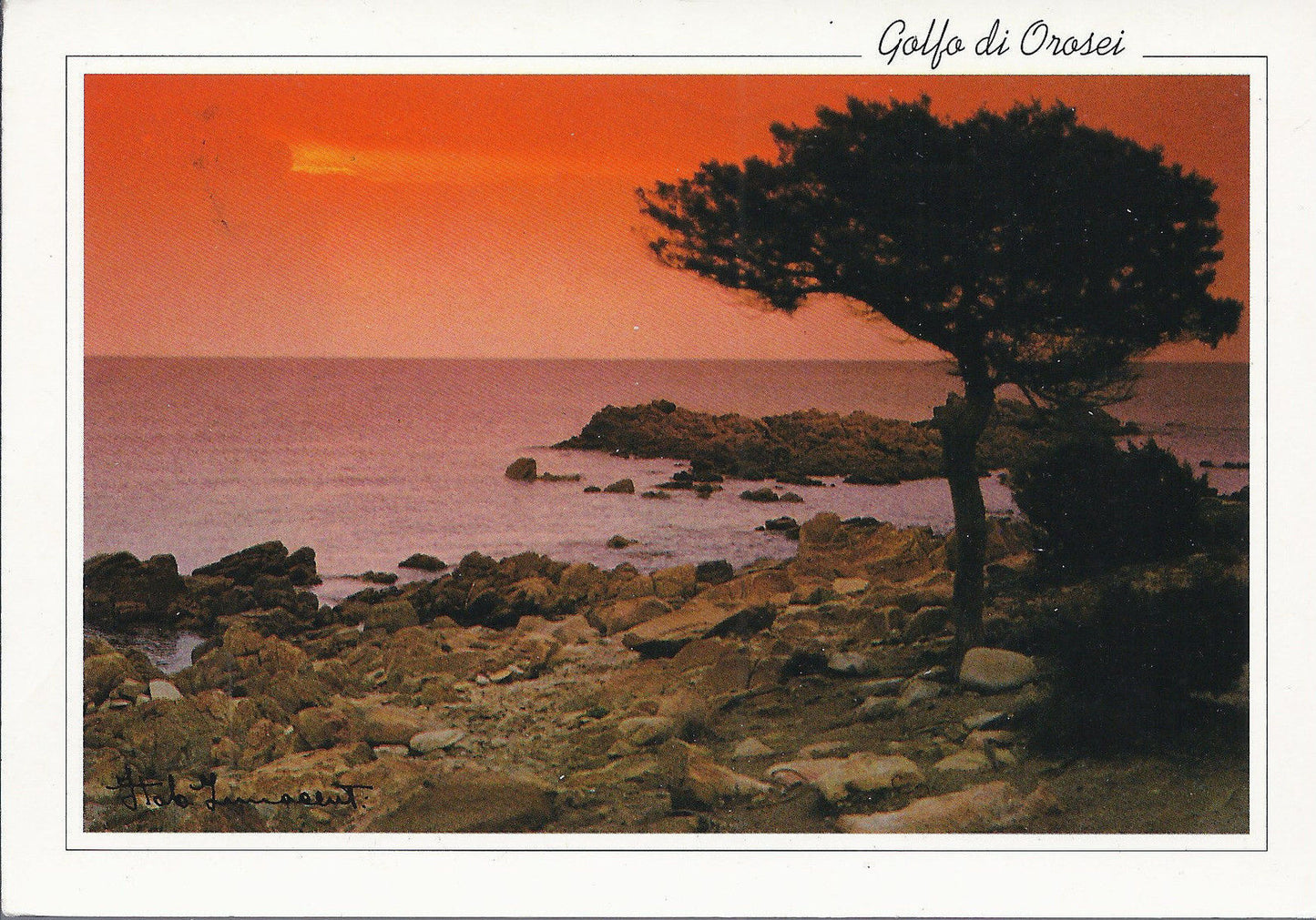 OROSEI - CALA GINEPRO - VSD