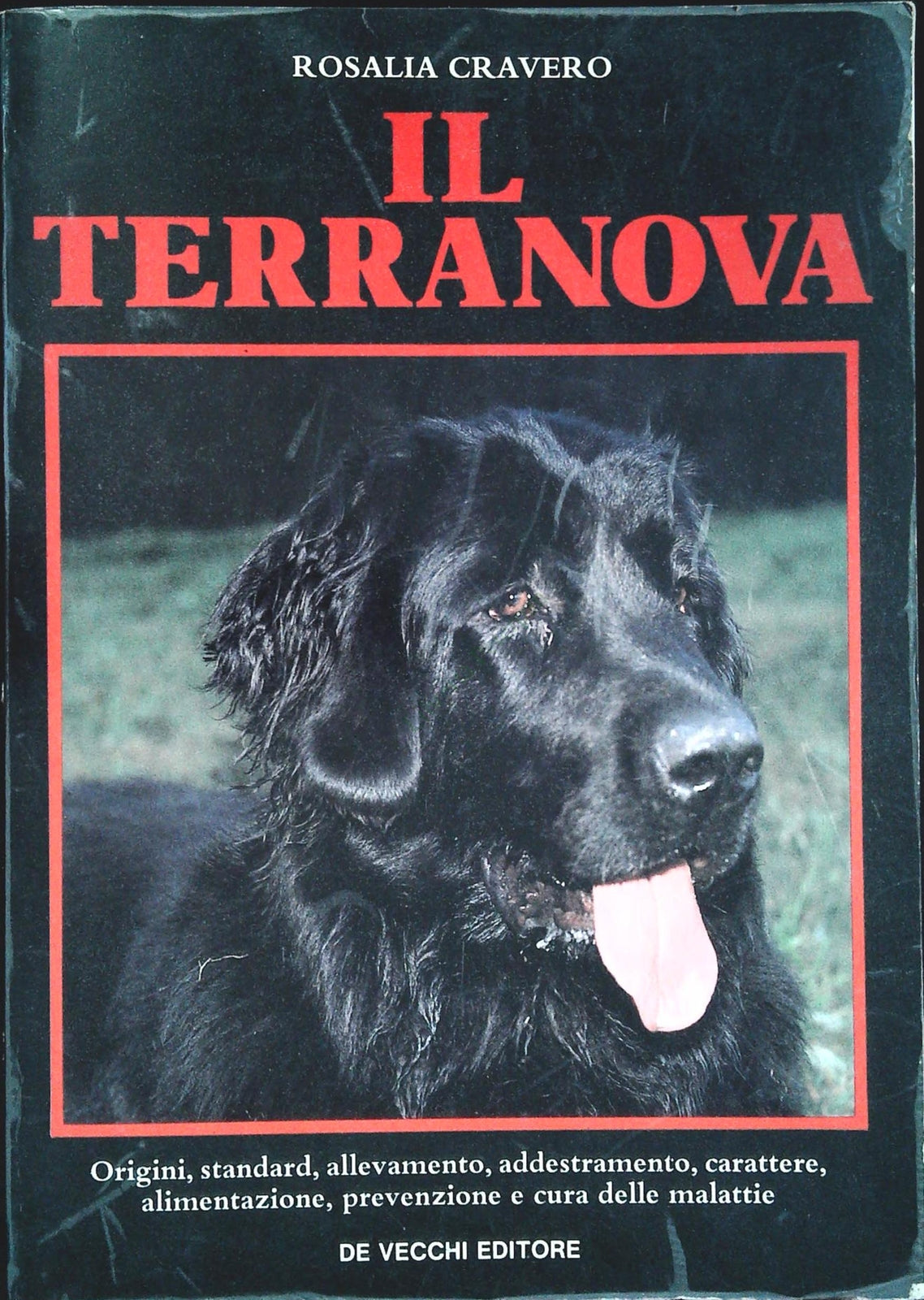 IL TERRANOVA - ROSALIA CRAVERO