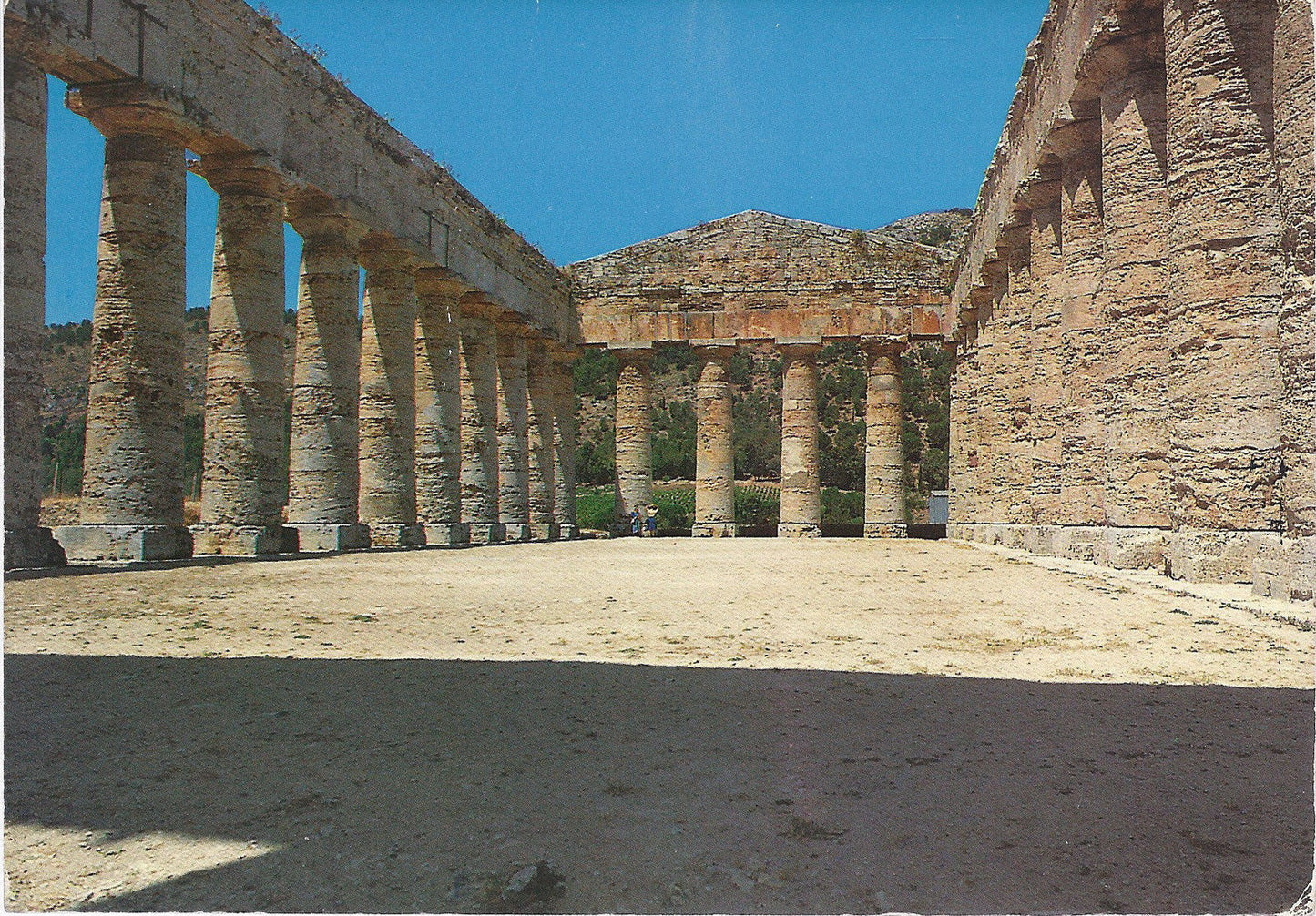 SEGESTA - TEMPIO DORICO - INTERNO - V1991