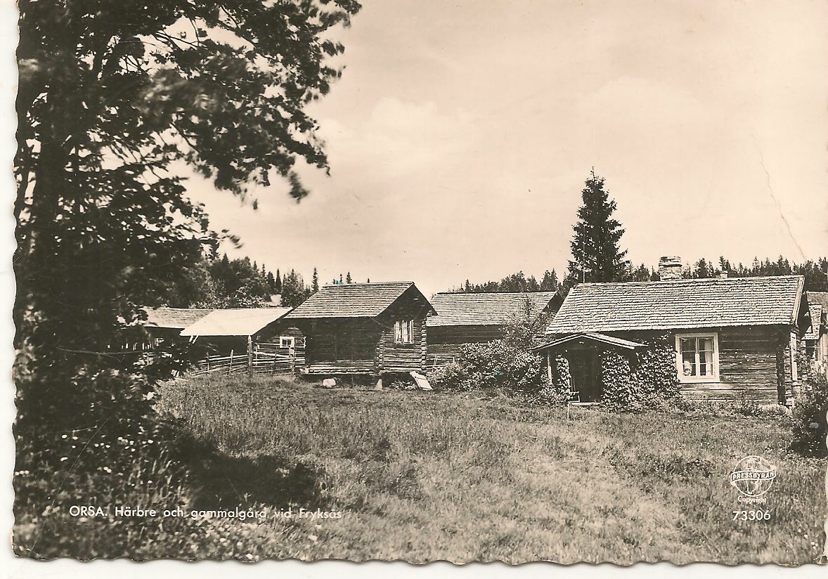 ORSA - SWEDEN - HARBRE CH GAMMALGARD VID FRYKSAS - V1957