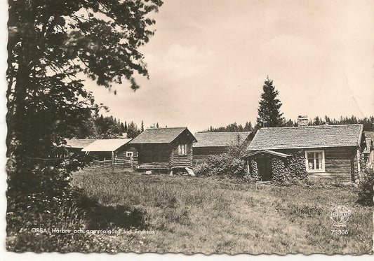 ORSA - SWEDEN - HARBRE CH GAMMALGARD VID FRYKSAS - V1957