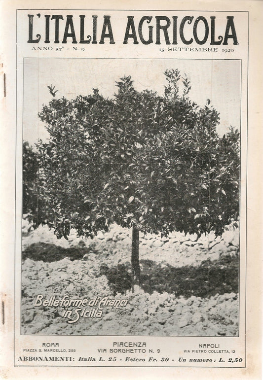 L'ITALIA AGRICOLA 15 SETTEMBRE 1920 - BELLEFORME DI ARANCI IN SICILIA