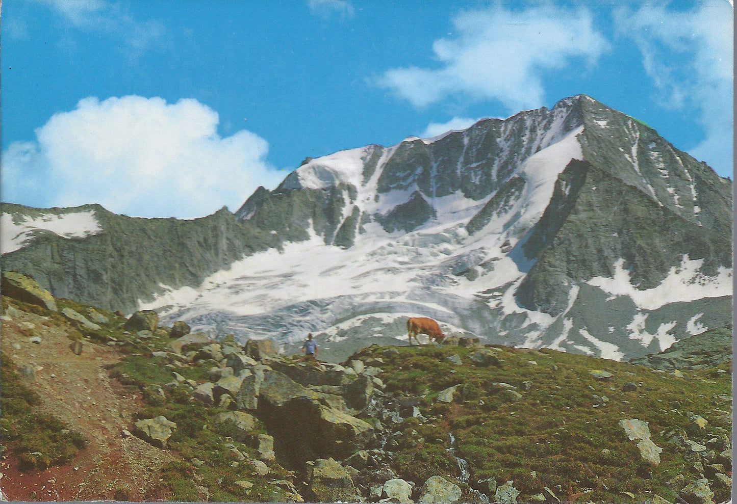 RIESERFERNERGRUPPE, HOCH GALL - GRUPPO VEDRETTE DI RIES, COL