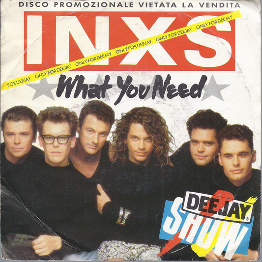 WHAT YOU NEED - KISS THE DIRT # INXS - Promo white label