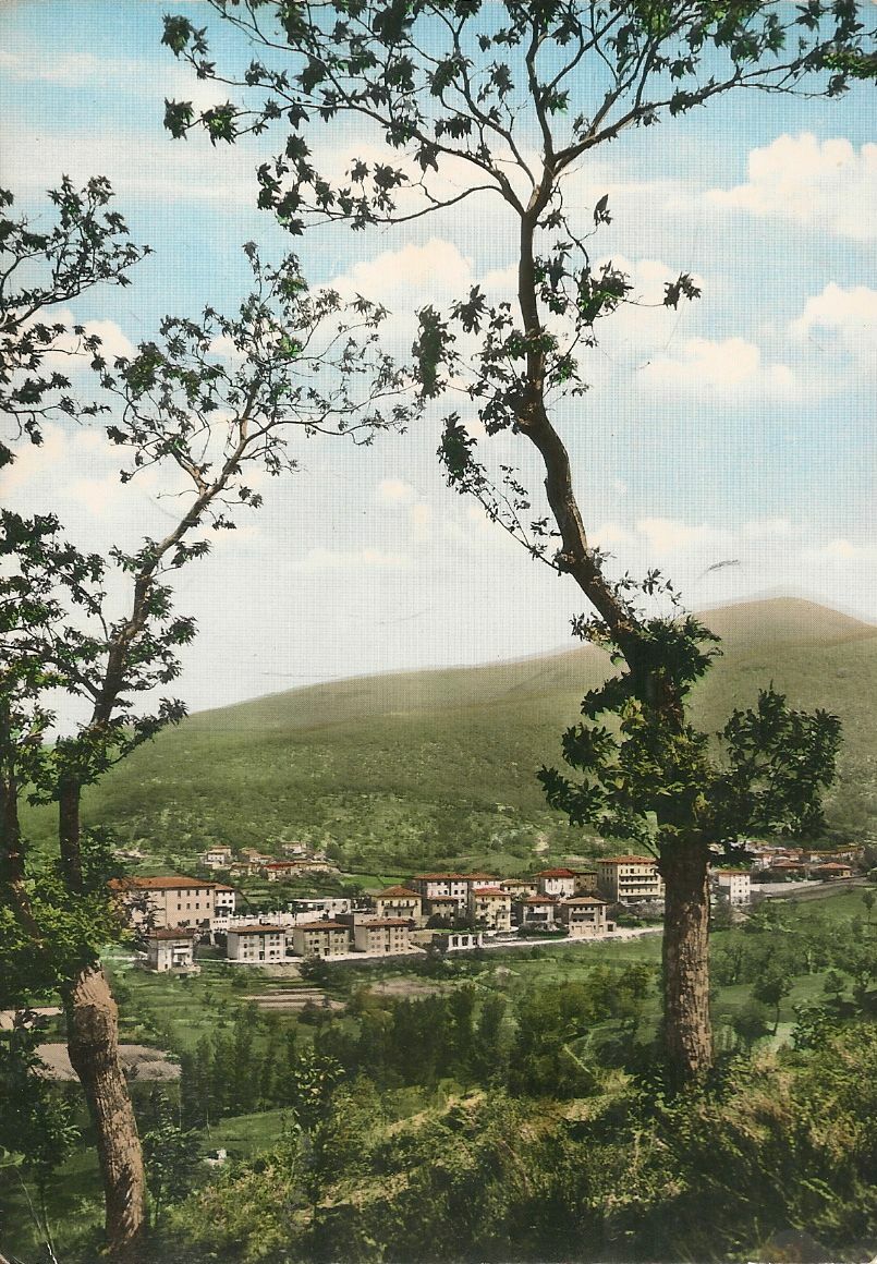 ARCIDOSSO -PANORAMA - V1963