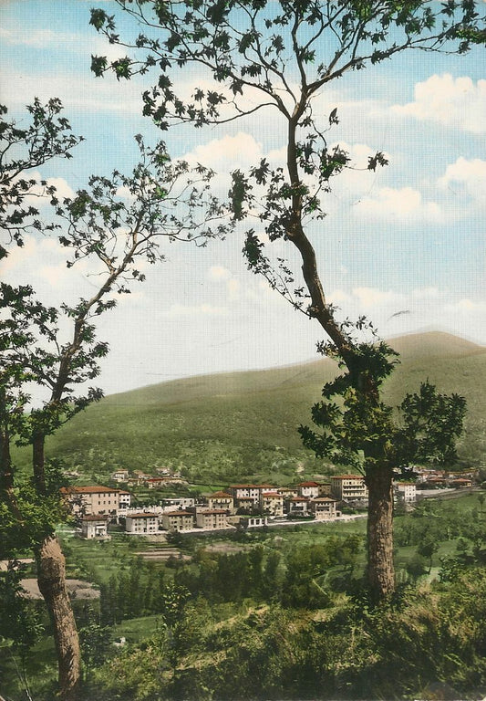 ARCIDOSSO -PANORAMA - V1963