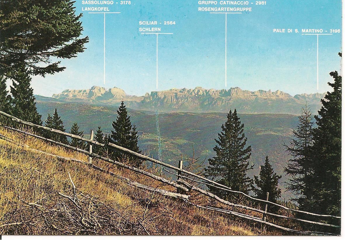 LE DOLOMITI DAL GIOGO DI SAN VIGILIO - PANORAMA - NV