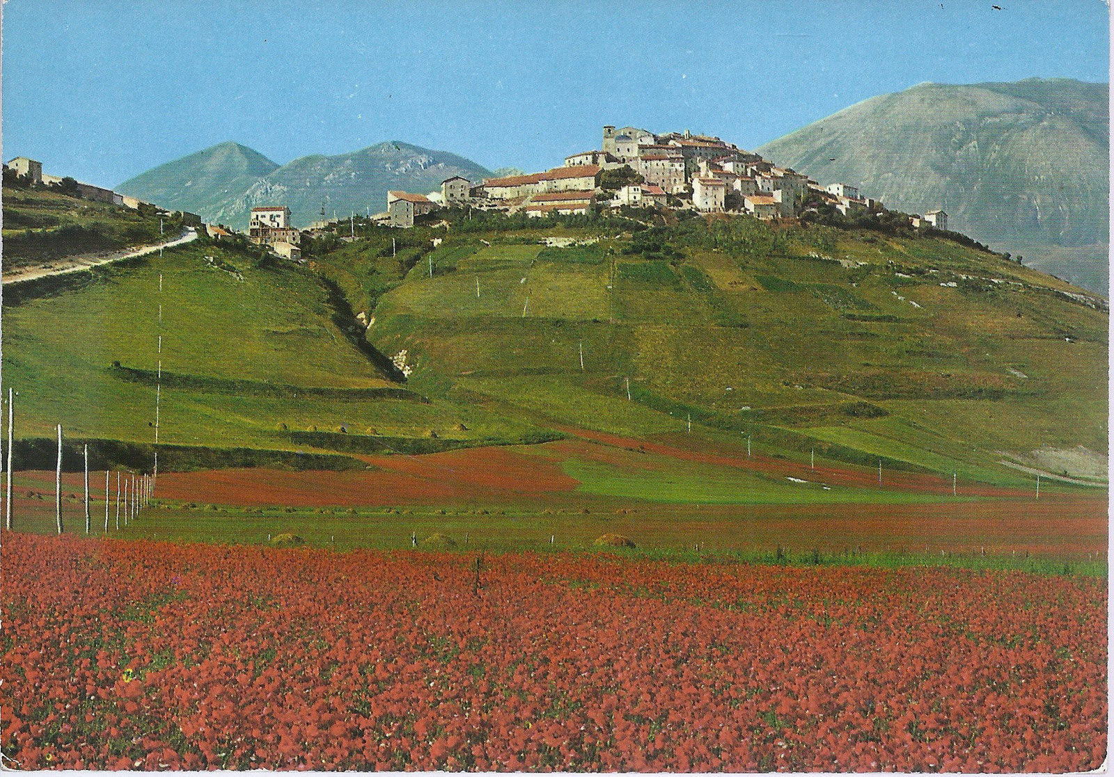 CASTELLUCCIO DI NORCIA - PIANO GRANDE NEL PERIODO DI FIORITU