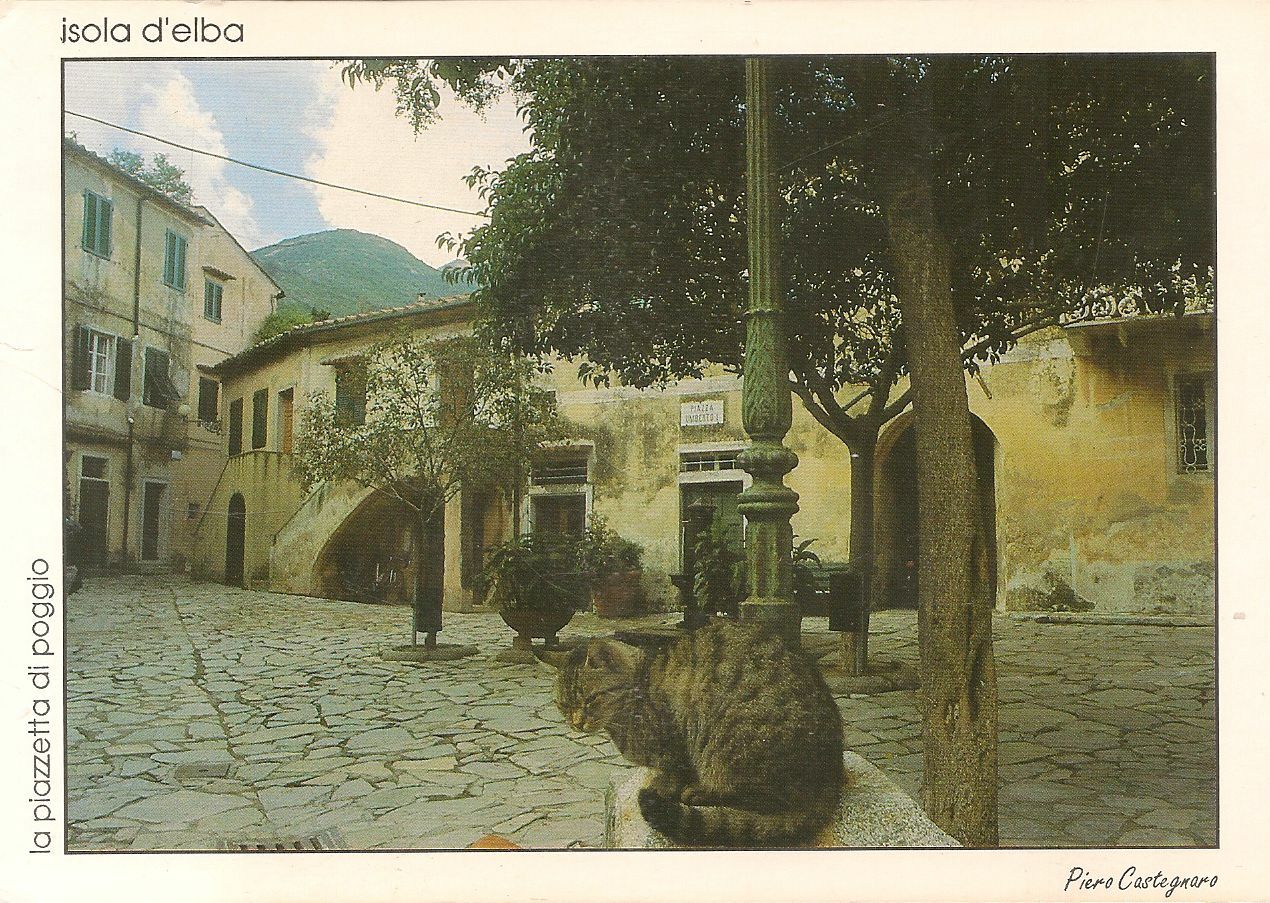 POGGIO - ISOLA D'ELBA - V1990 FORMATO MAXI