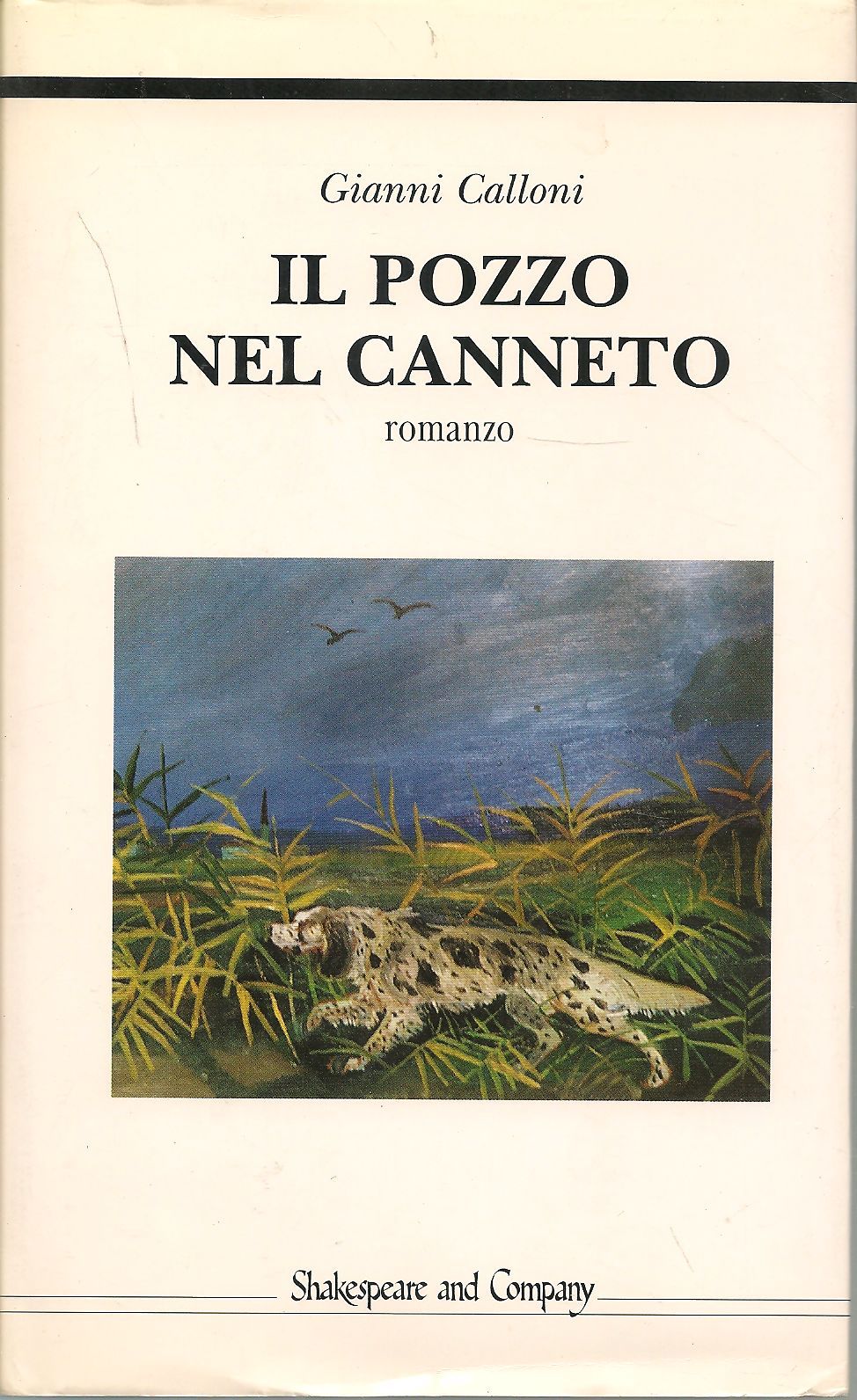 IL POZZO NEL CANNETO - GIANNI CALLONI