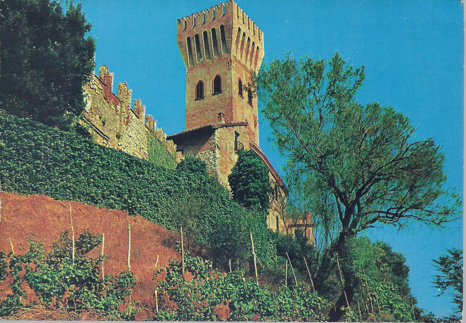 CIGOGNOLA - IL CASTELLO - NV - FG - Ed. Grossi 1696-02
