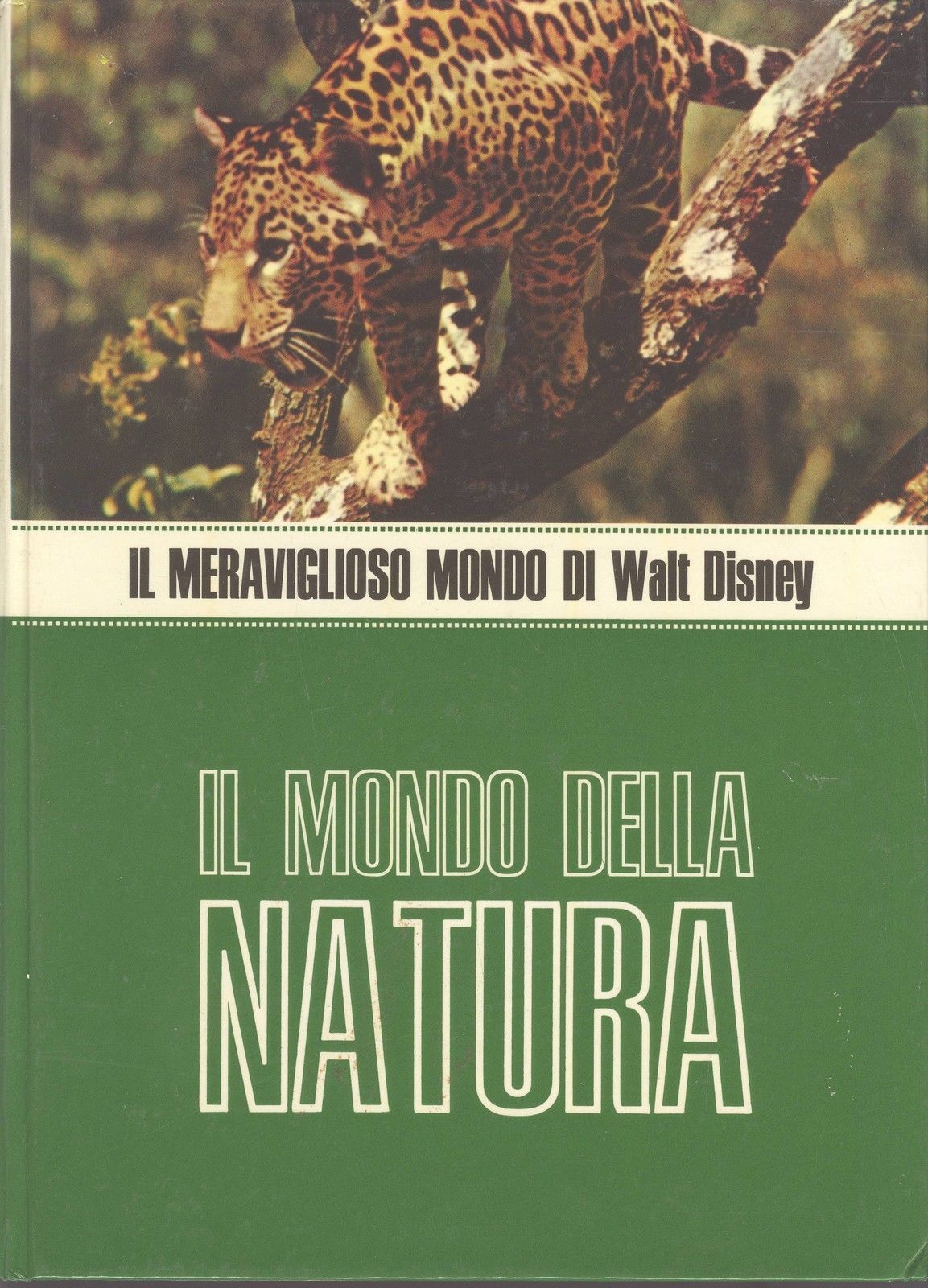 IL MONDO DELLA NATURA - IL MERAVIGLIOSO MONDO DI WALT DISNEY