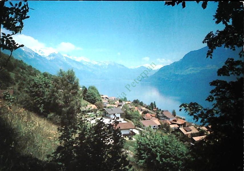 NIEDERRIED - PANORAMA - NV