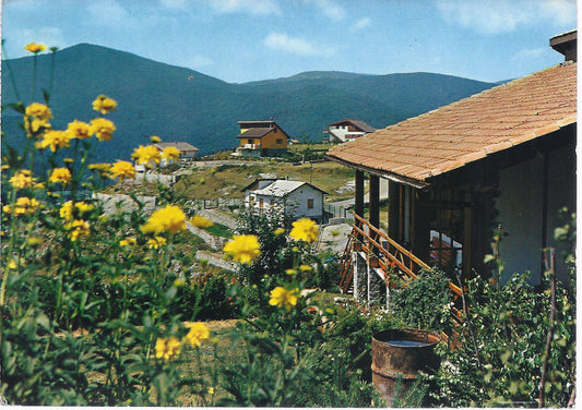 BARDINETO - VILLAGGIO DELLA CROSA - V 1975 - FG