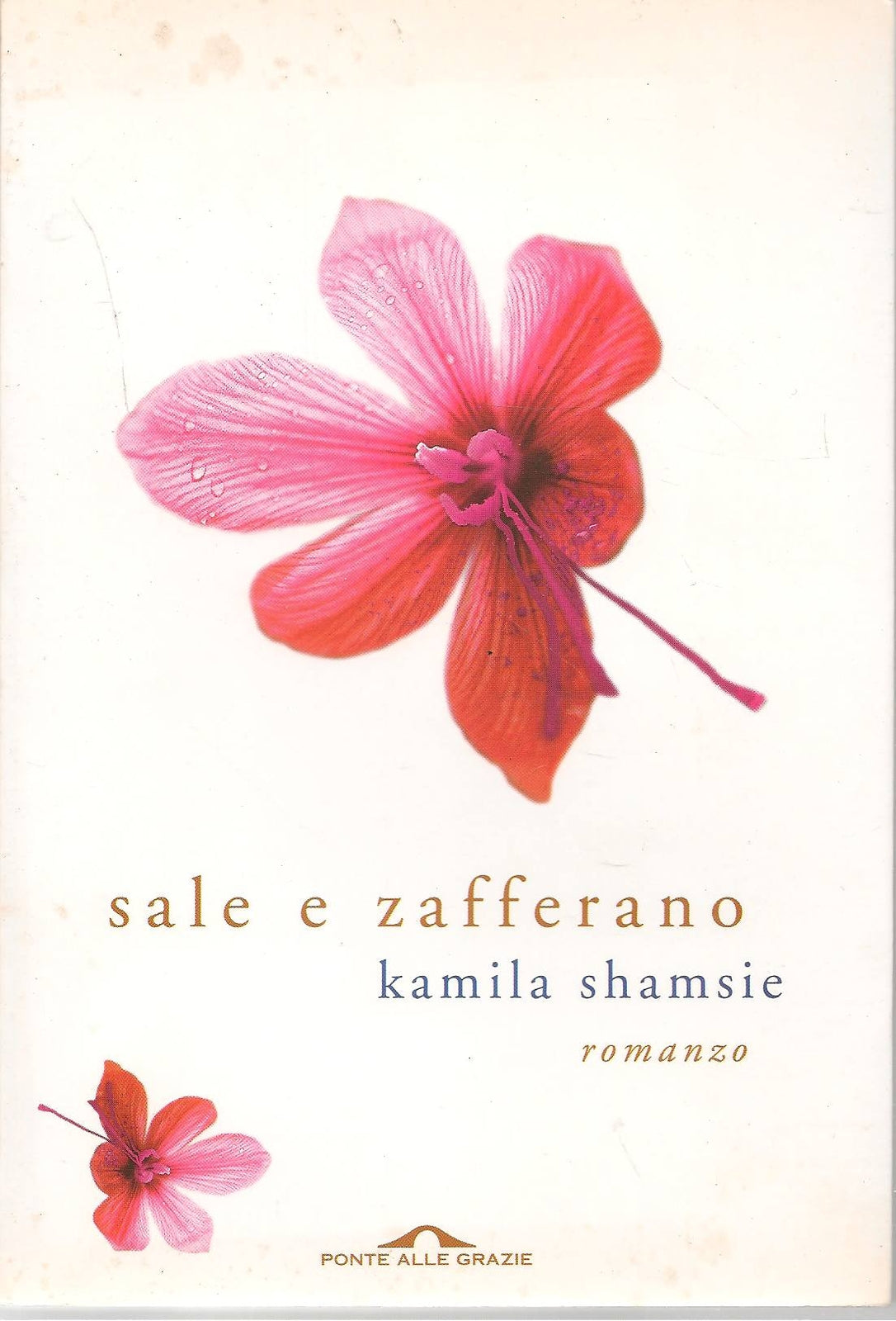SALE E ZAFFERANO - KAMILA SHAMISIE