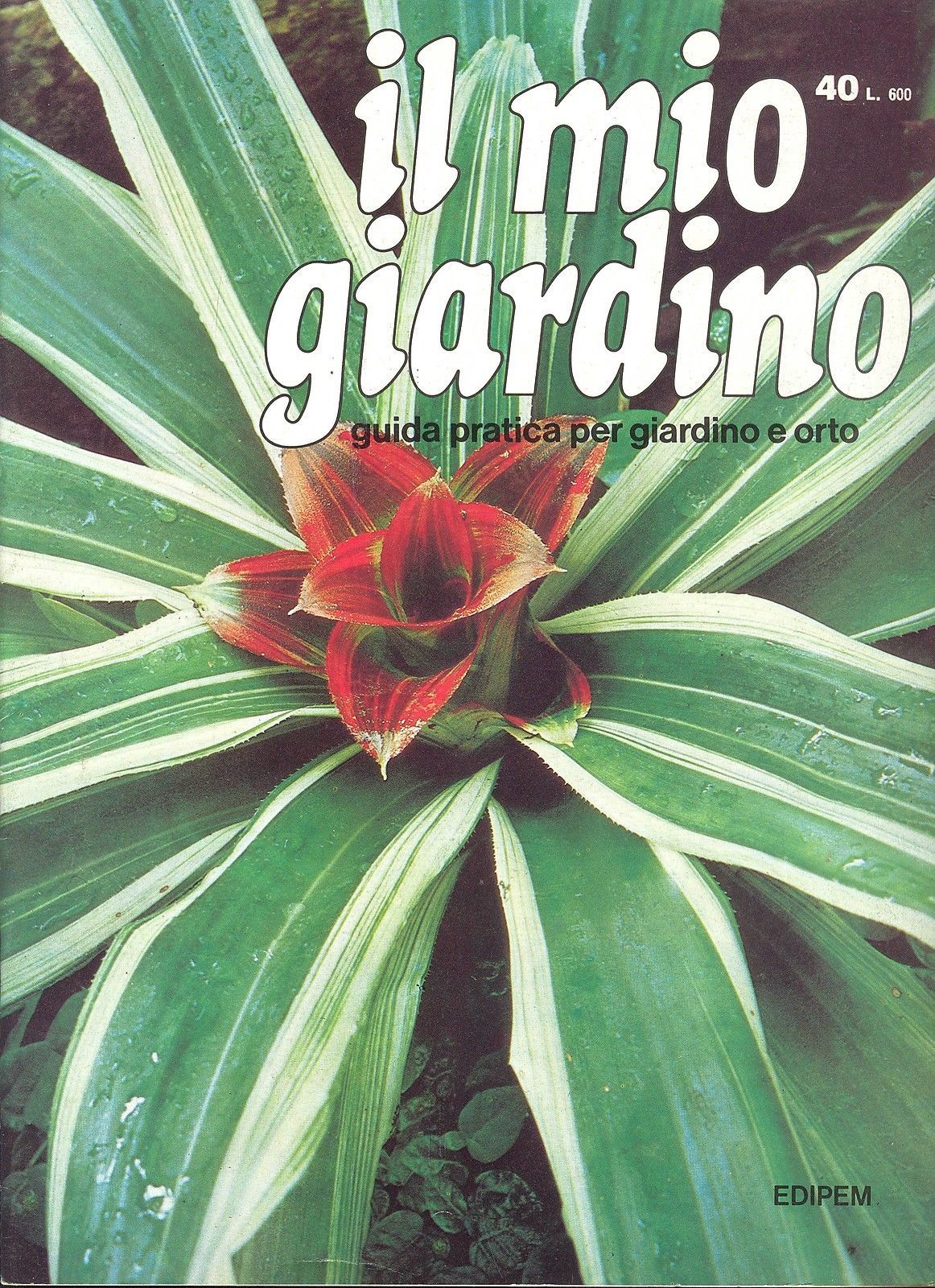 IL MIO GIARDINO N 40