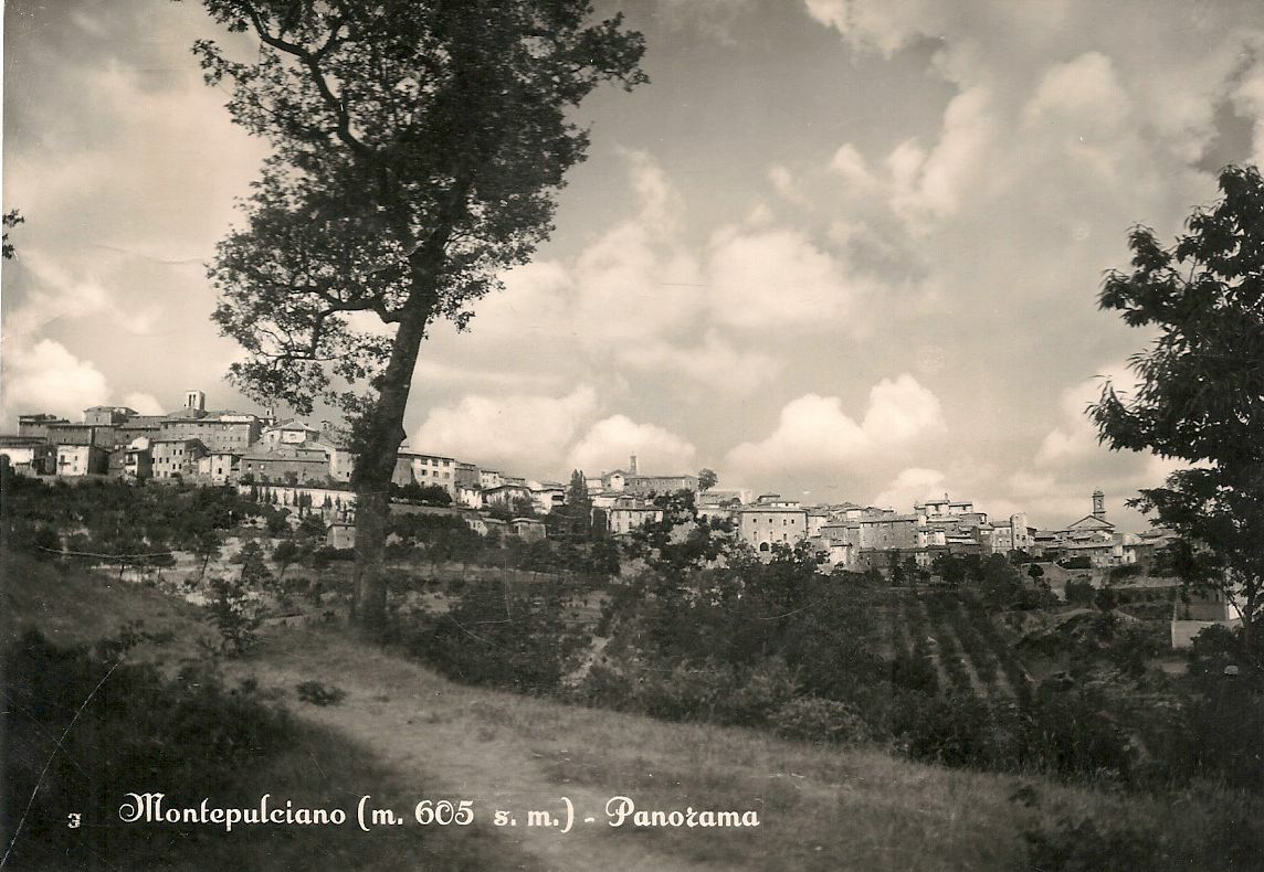 MONTEPULCIANO - PANAORAMA - V1953