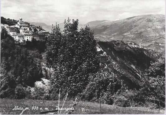 ABETO - PANORAMA - NV - FG