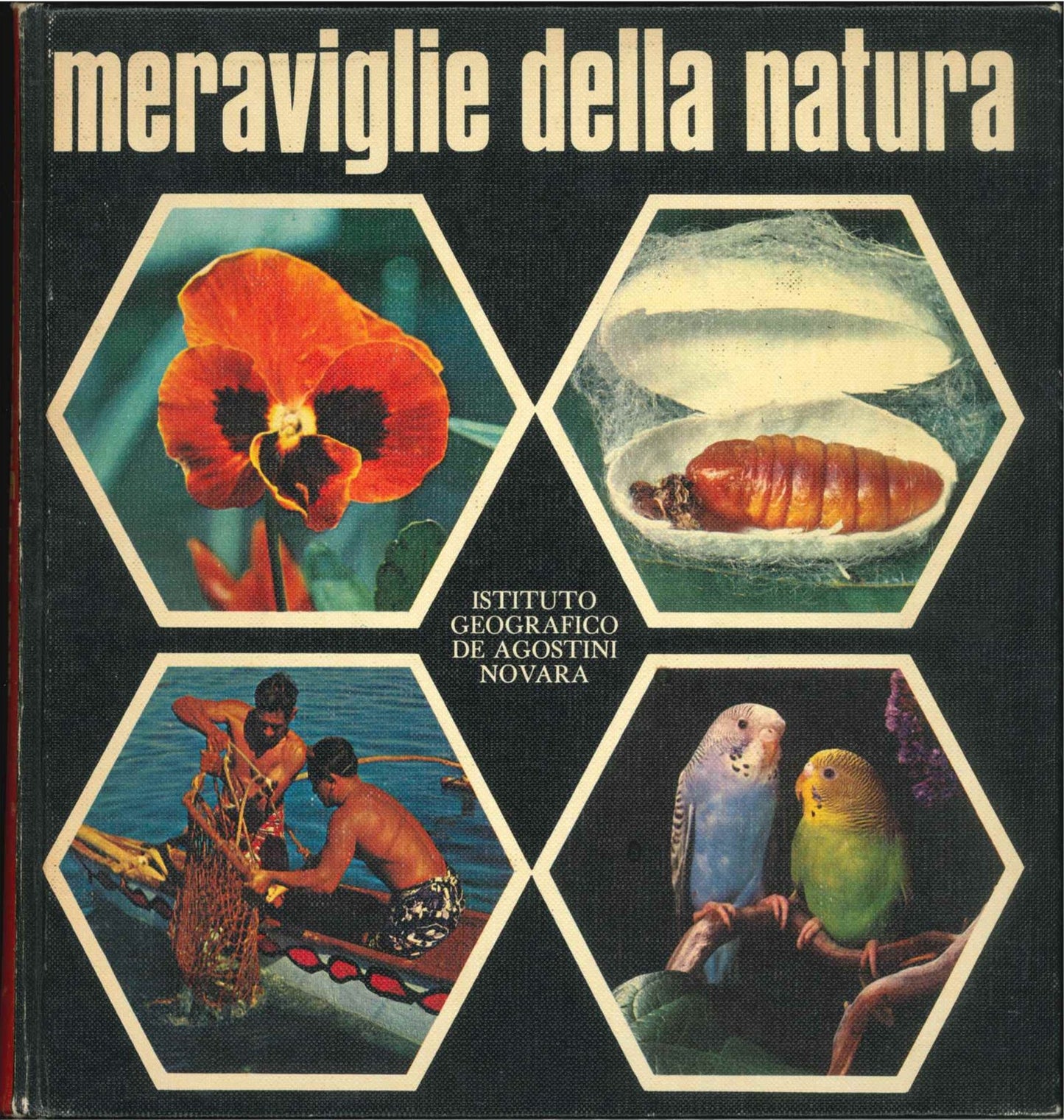 MERAVIGLIE DELLA NATURA
