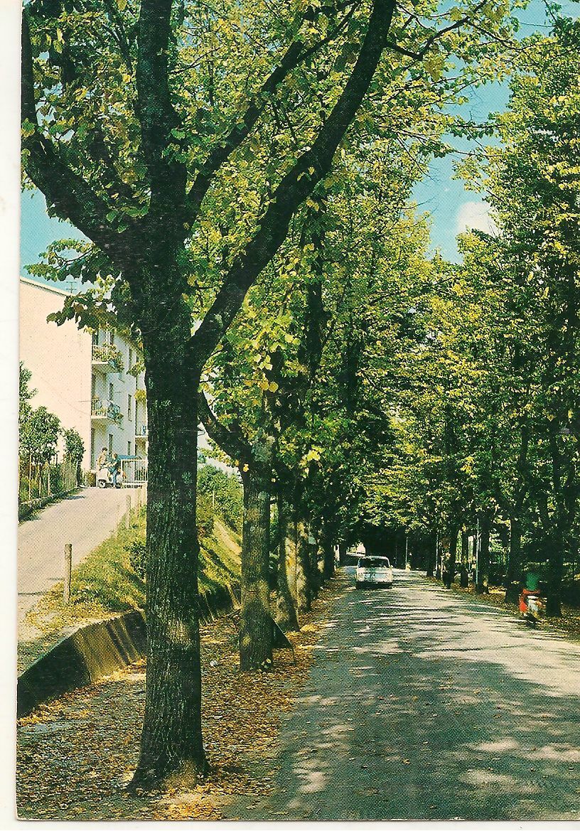 TREDONZIO - VIALE DELLA LIBERTA' - V1976