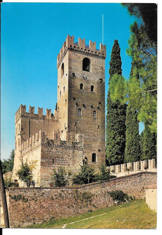 CONEGLIANO - IL CASTELLO - V1970