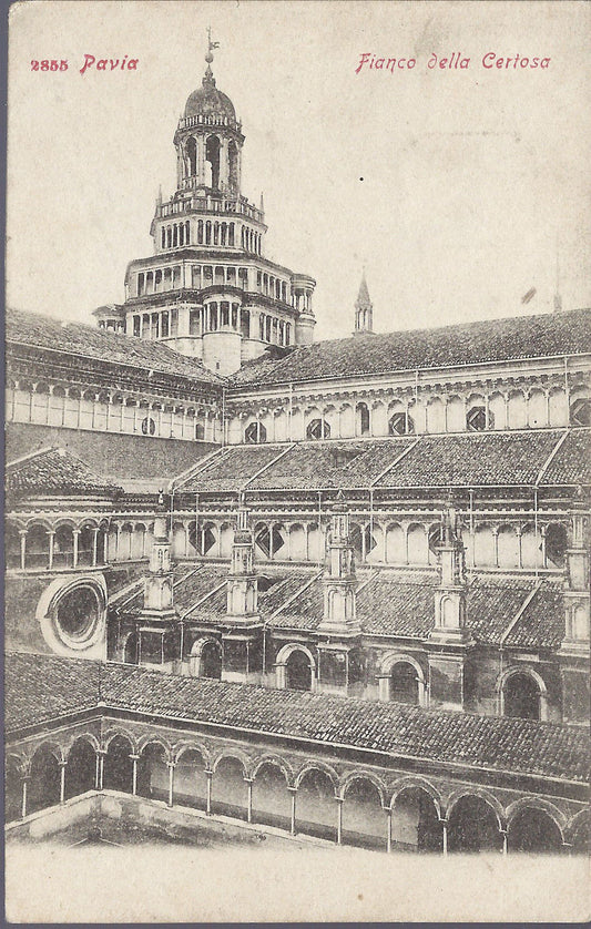 PAVIA - FIANCO DELLA CERTOSA - NV - FP - DORSO UNITO