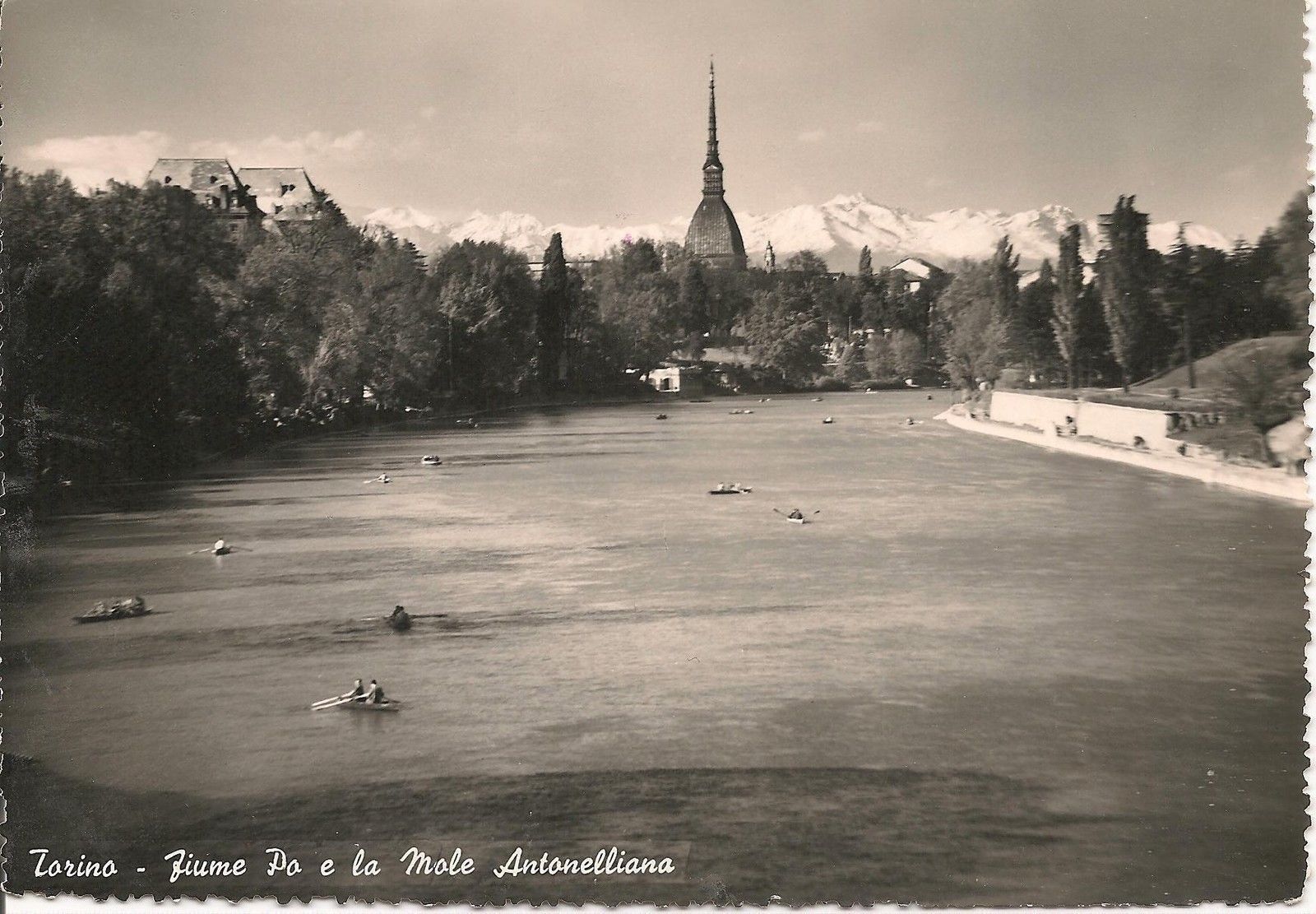 TORINO - FIUME PO E MOLE ANTONELLIANA - V1952