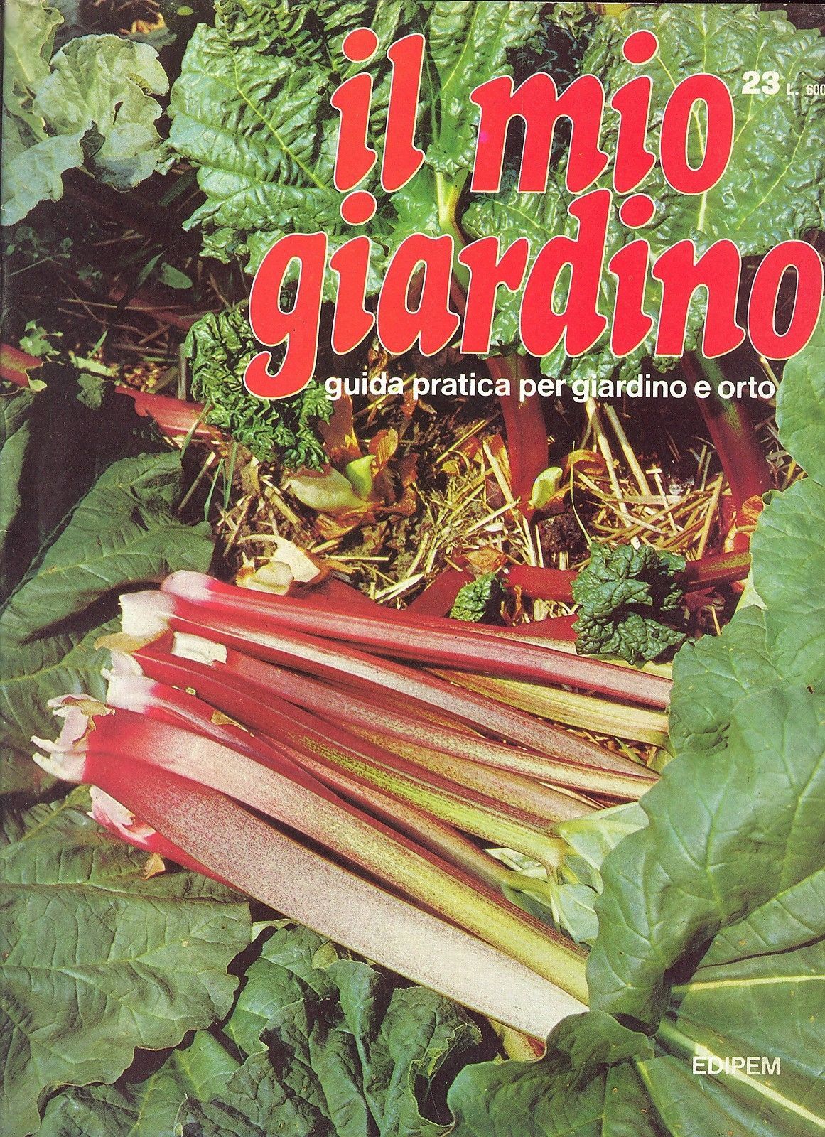 IL MIO GIARDINO N 23