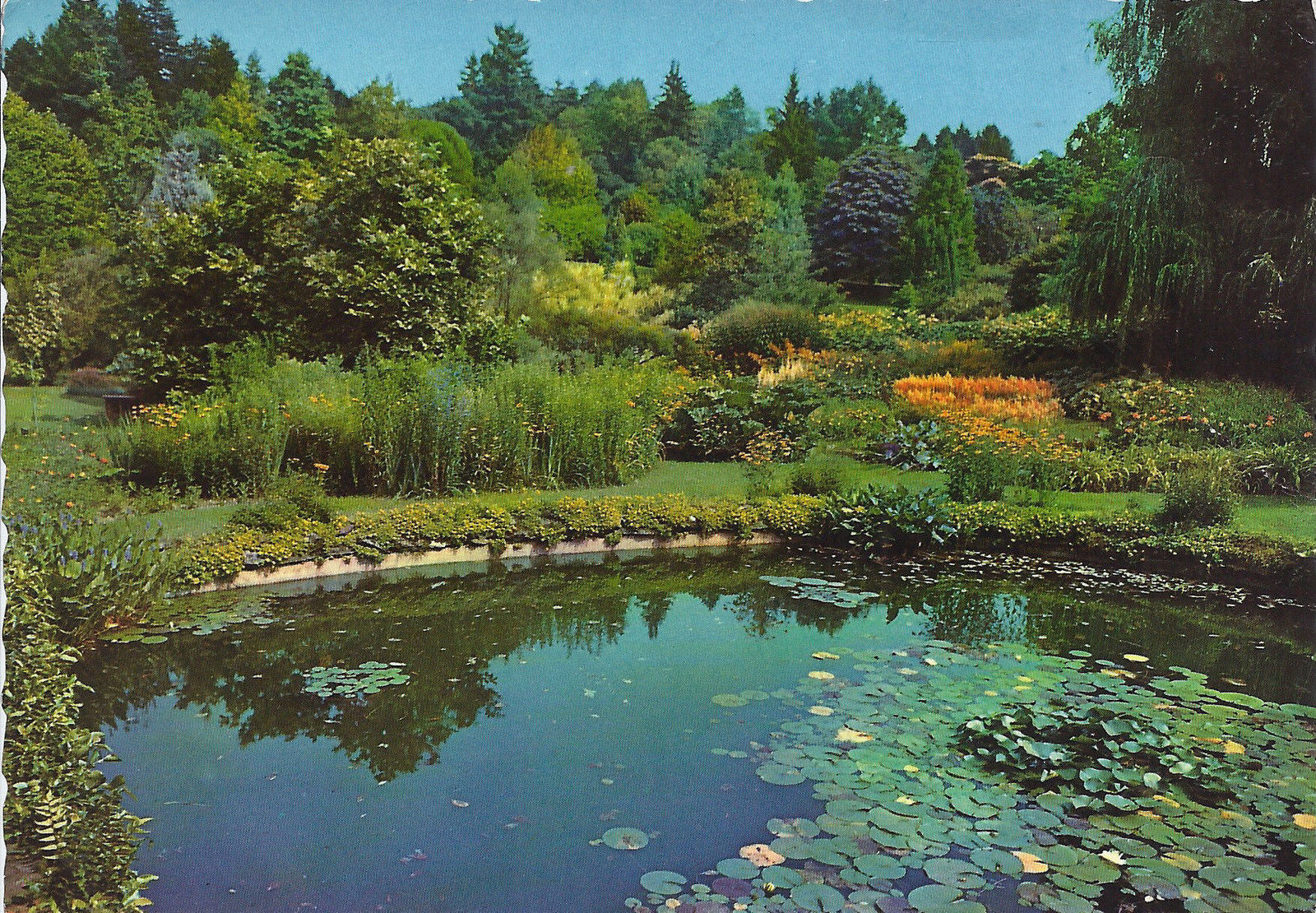 VERBANIA PALLANZA - VILLA TARANTO - IL GIARDINO PALUSTRE - V