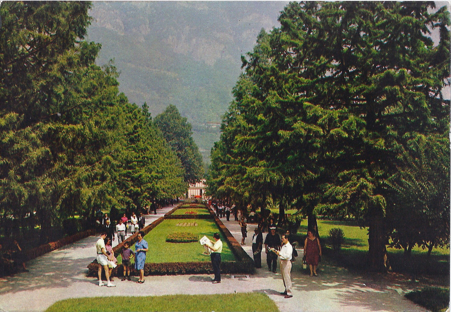 TERME DI BOARIO - VALLE CAMONICA - UN VIALE DEL PARCO DELLE 