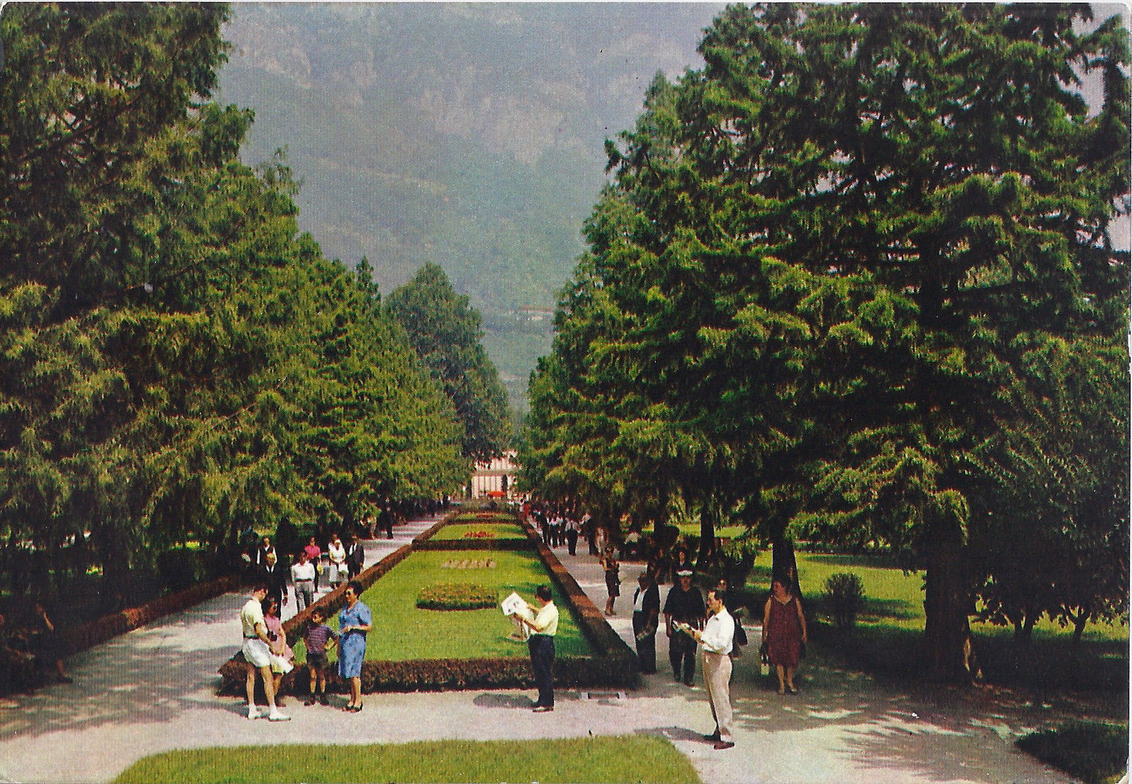 TERME DI BOARIO - VALLE CAMONICA - UN VIALE DEL PARCO DELLE 