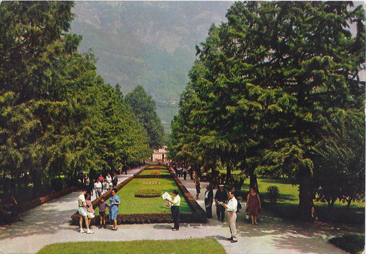 TERME DI BOARIO - VALLE CAMONICA - UN VIALE DEL PARCO DELLE 