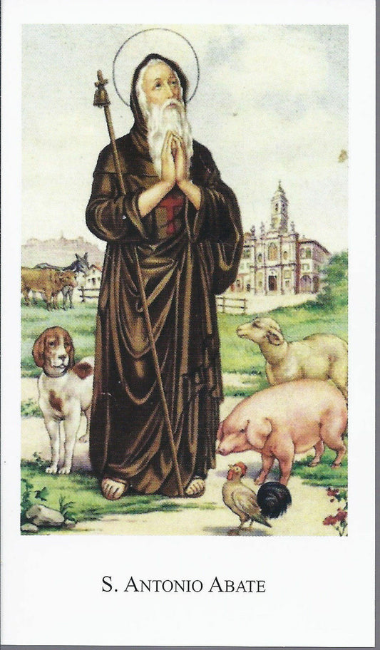 S. ANTONIO ABATE - SANTINO - AS014-054 - Ed. Paco