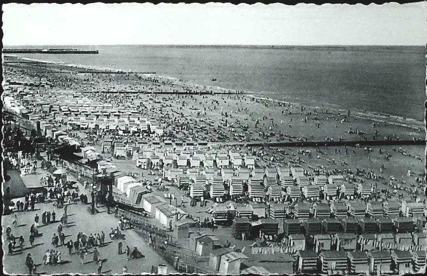 BLANCKENBERGE - NEDERALD - PANORAMA- V1954